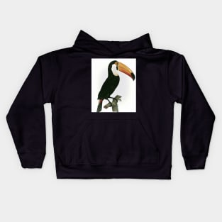 Toco toucan from Histoire Naturelle des Oiseaux de Paradis et Des Rolliers Kids Hoodie